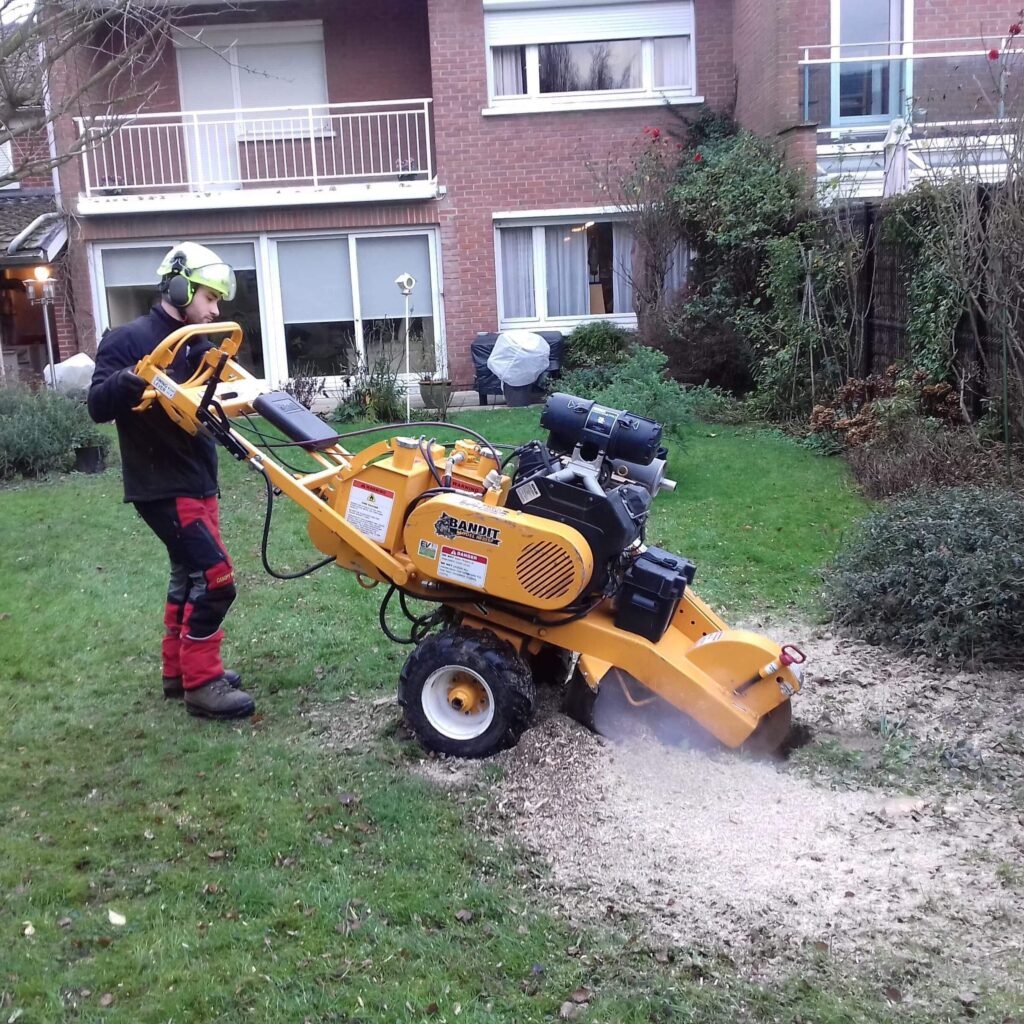 Sur cette image, on voit un professionnel équipé en tenue de sécurité (casque avec visière et protections auditives, pantalon renforcé) en train d’utiliser une rogneuse de souche. La machine est positionnée sur une pelouse, dans un jardin résidentiel, et est en train de broyer une souche d’arbre en copeaux de bois. La rogneuse, puissante et compacte, permet de travailler avec précision tout en limitant les dégâts sur le terrain environnant. On distingue les projections de copeaux au sol, signe du travail en cours. L’intervention se déroule à proximité d’une habitation, illustrant parfaitement une prestation adaptée aux particuliers. Cette scène met en avant un travail sécurisé, efficace et propre, réalisé avec du matériel professionnel pour éliminer les souches et préparer le terrain à de nouveaux aménagements (pelouse, plantation, terrasse, etc.).