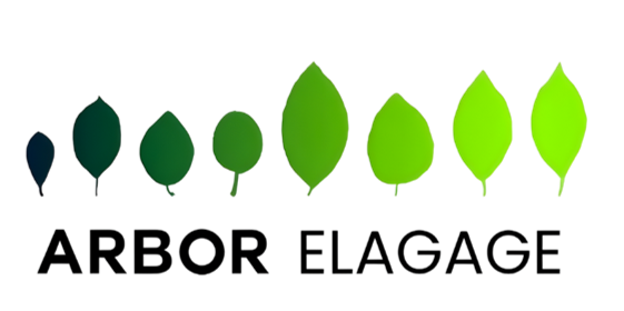 Arbor Élagage: Élagage d'arbre, abattage d'arbres à Lille et Valenciennes